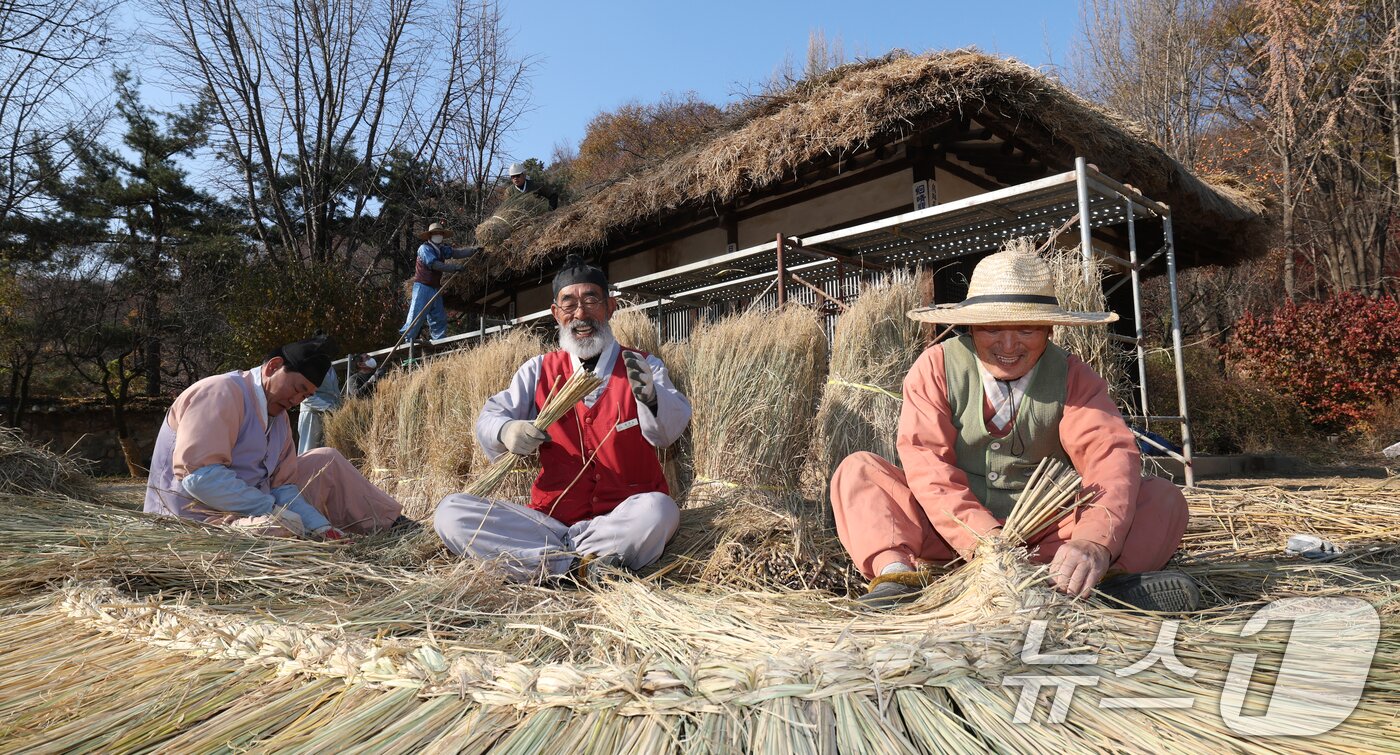 본문 이미지 - 절기상 소설&#40;小雪&#41;을 사흘 앞둔 19일 경기 용인시 기흥구 한국민속촌에서 직원들이 초가지붕 위에 올릴 이엉 잇기 작업을 하며 월동 준비를 하고 있다. 2025.11.19/뉴스1 ⓒ News1 김영운 기자