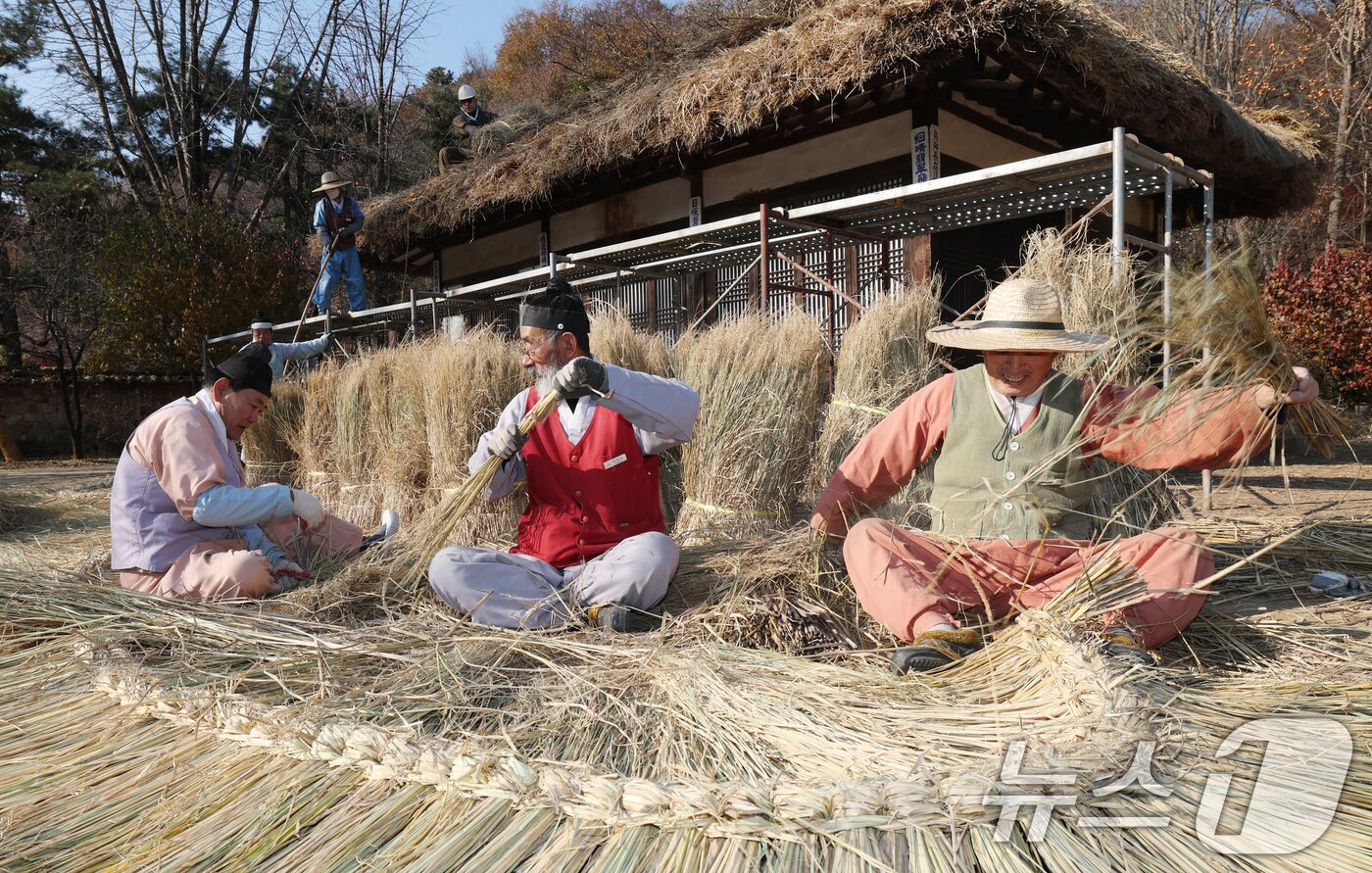 본문 이미지 - 절기상 소설&#40;小雪&#41;을 사흘 앞둔 19일 경기 용인시 기흥구 한국민속촌에서 직원들이 초가지붕 위에 올릴 이엉 잇기 작업을 하며 월동 준비를 하고 있다. 2025.11.19/뉴스1 ⓒ News1 김영운 기자