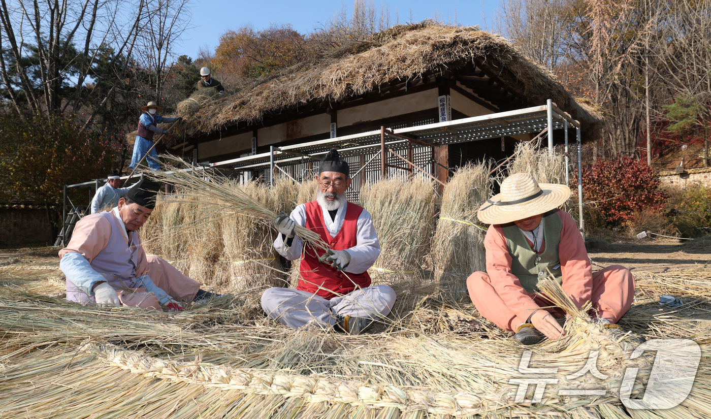 (용인=뉴스1) 김영운 기자 = 절기상 소설(小雪)을 사흘 앞둔 19일 경기 용인시 기흥구 한국민속촌에서 직원들이 초가지붕 위에 올릴 이엉 잇기 작업을 하며 월동 준비를 하고 있다 …