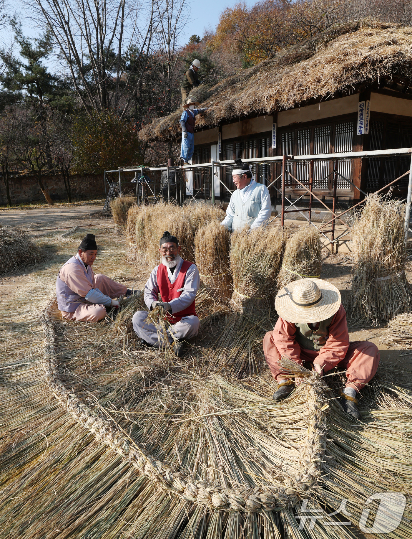 (용인=뉴스1) 김영운 기자 = 절기상 소설(小雪)을 사흘 앞둔 19일 경기 용인시 기흥구 한국민속촌에서 직원들이 초가지붕 위에 올릴 이엉 잇기 작업을 하며 월동 준비를 하고 있다 …