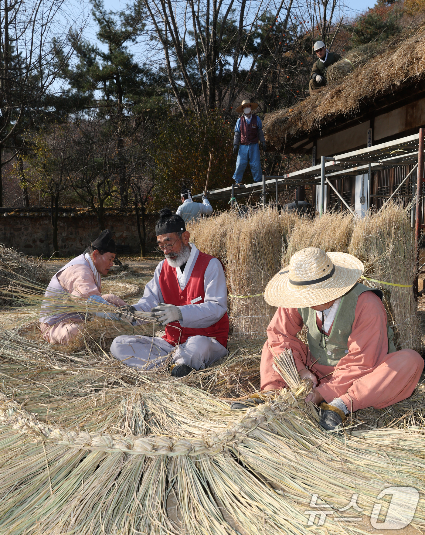 (용인=뉴스1) 김영운 기자 = 절기상 소설(小雪)을 사흘 앞둔 19일 경기 용인시 기흥구 한국민속촌에서 직원들이 초가지붕 위에 올릴 이엉 잇기 작업을 하며 월동 준비를 하고 있다 …