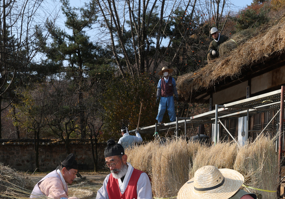 초가지붕 이엉 잇기 작업