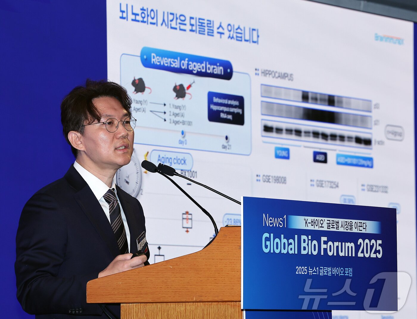 본문 이미지 - 권민수 브레인이뮤넥스 대표가 19일 오후 서울 중구 소공동 롯데호텔 사파이어볼룸에서 &#39;뉴스1 글로벌바이오포럼&#40;GBF&#41; 2025’에 참석해 &#39;뇌를 젊게 만드는 &#39;범용성&#39; 퇴행성 뇌질환 신약개발 경쟁력&#39;이라는 주제로 기업IR을 하고 있다. 2025.11.19/뉴스1 ⓒ News1 김진환 기자