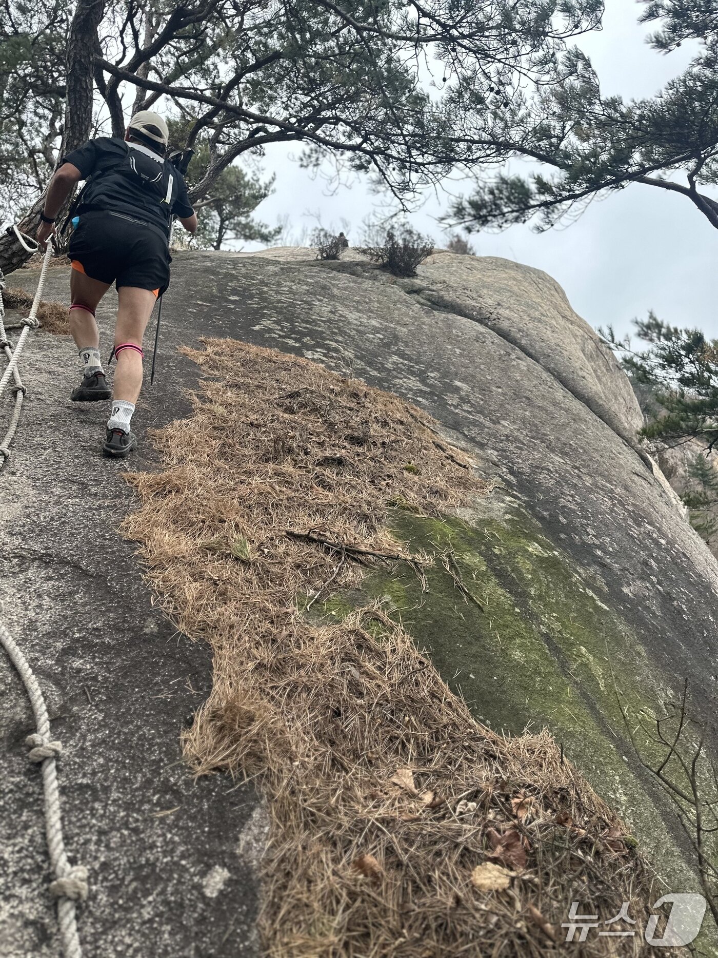 본문 이미지 - 지난 11월 8일 열린 &#39;2025 문경 레전드 트레일 백두대간&#39; 트레일러닝 대회 중 만난 암벽 구간. ⓒ News1 이상휼 기자