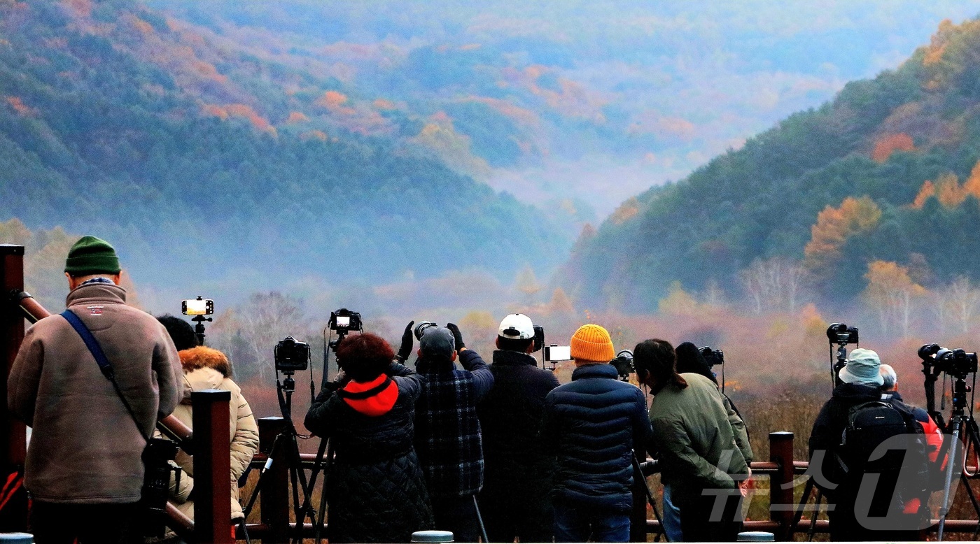 (인제=뉴스1) 이종재 기자 = 2일 새벽 인제군 남면 갑둔리 비밀의 정원(시크릿 가든) 일대에 모인 전국의 사진작가들이 안개와 단풍이 어우러져 장관을 이룬 풍경을 사진에 담고 있 …