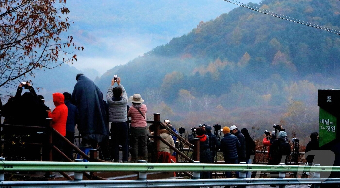 본문 이미지 - 2일 새벽 인제군 남면 갑둔리 비밀의 정원&#40;시크릿 가든&#41; 일대에 모인 전국의 사진작가들이 안개와 단풍이 어우러져 장관을 이룬 풍경을 사진에 담고 있다.&#40;인제군 제공. 재판매 및 DB금지&#41; 2025.11.2/뉴스1 ⓒ News1 이종재 기자