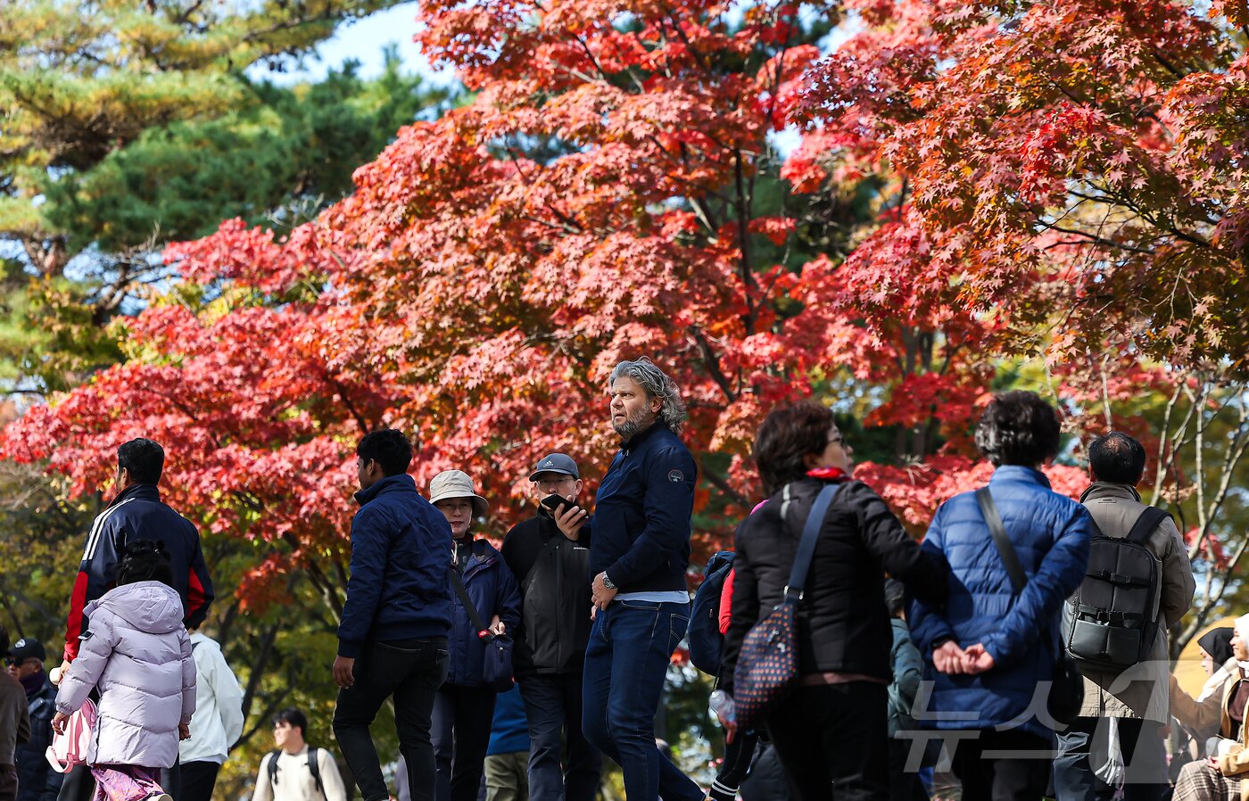 본문 이미지 - 기온이 뚝 떨어진 2일 오후 서울 중구 남산을 찾은 시민과 관광객들이 가을의 정취를 느끼고 있다. 2025.11.2/뉴스1 ⓒ News1 김진환 기자
