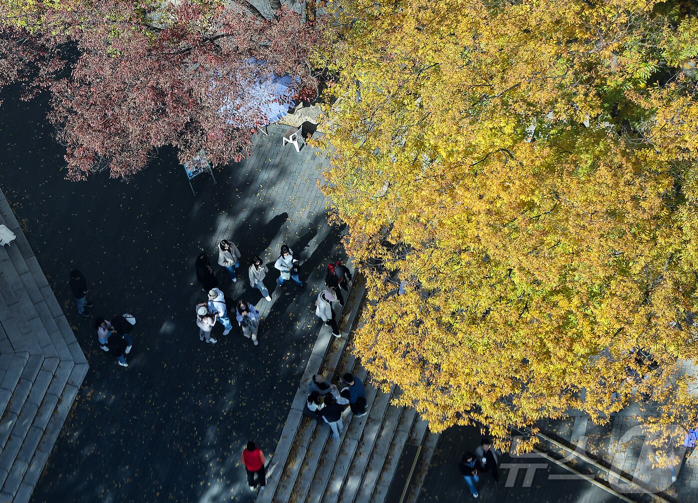 본문 이미지 - 기온이 뚝 떨어진 2일 오후 서울 중구 N서울타워에서 바라본 남산에 단풍이 물들어 있다. 2025.11.2/뉴스1 ⓒ News1 김진환 기자