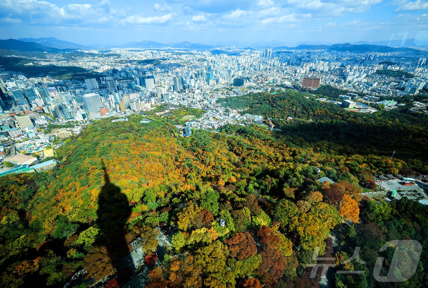 본문 이미지 - 기온이 뚝 떨어진 2일 오후 서울 중구 N서울타워에서 바라본 남산에 단풍이 물들어 있다. 2025.11.2/뉴스1 ⓒ News1 김진환 기자