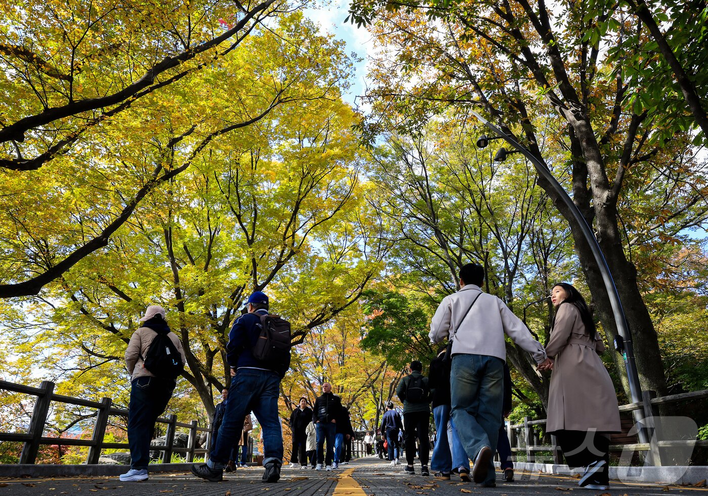 본문 이미지 - 기온이 뚝 떨어진 2일 오후 서울 중구 남산을 찾은 관광객들이 단풍길을 거닐고 있다. 2025.11.2/뉴스1 ⓒ News1 김진환 기자