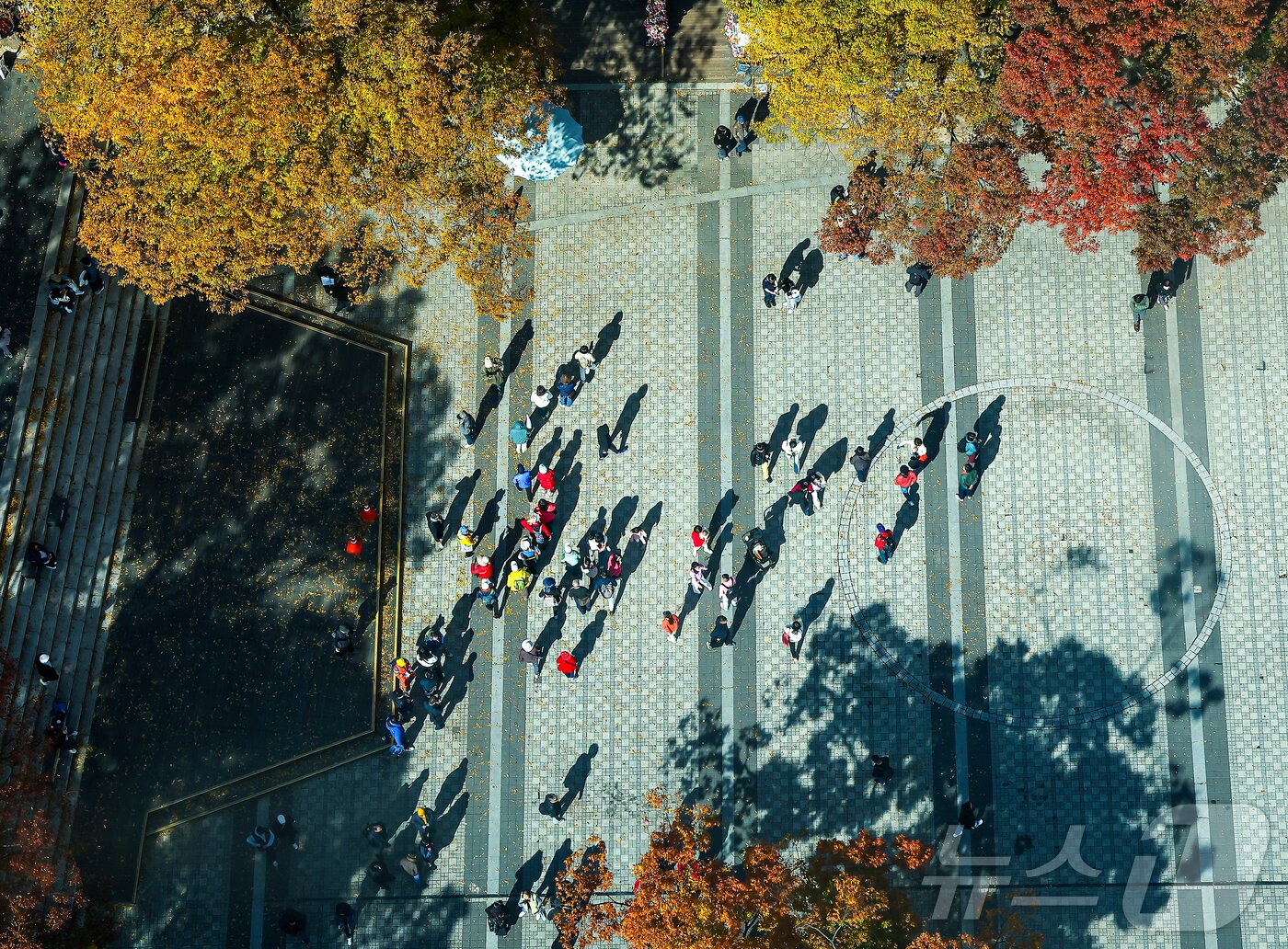 본문 이미지 - 기온이 뚝 떨어진 2일 오후 서울 중구 N서울타워에서 바라본 남산에 단풍이 물들어 있다. 2025.11.2/뉴스1 ⓒ News1 김진환 기자