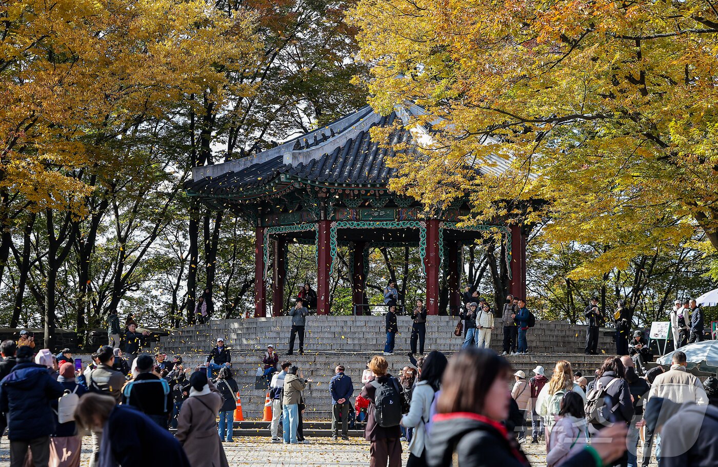 본문 이미지 - 기온이 뚝 떨어진 2일 오후 서울 중구 남산을 찾은 시민과 관광객들이 가을의 정취를 느끼고 있다. 2025.11.2/뉴스1 ⓒ News1 김진환 기자