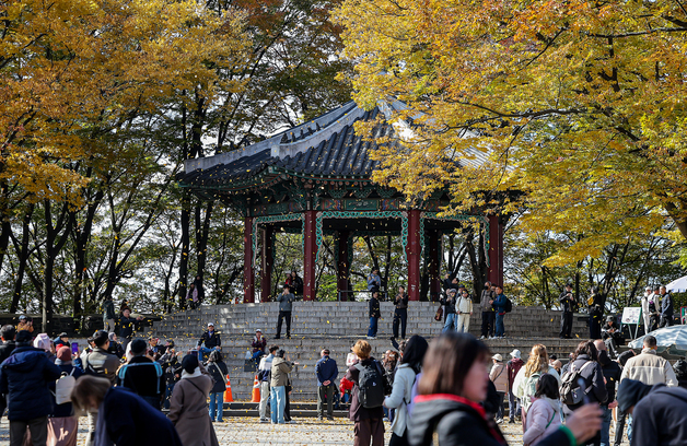[오늘의 날씨] 충북·세종(8일, 토)…늦은 오후 비