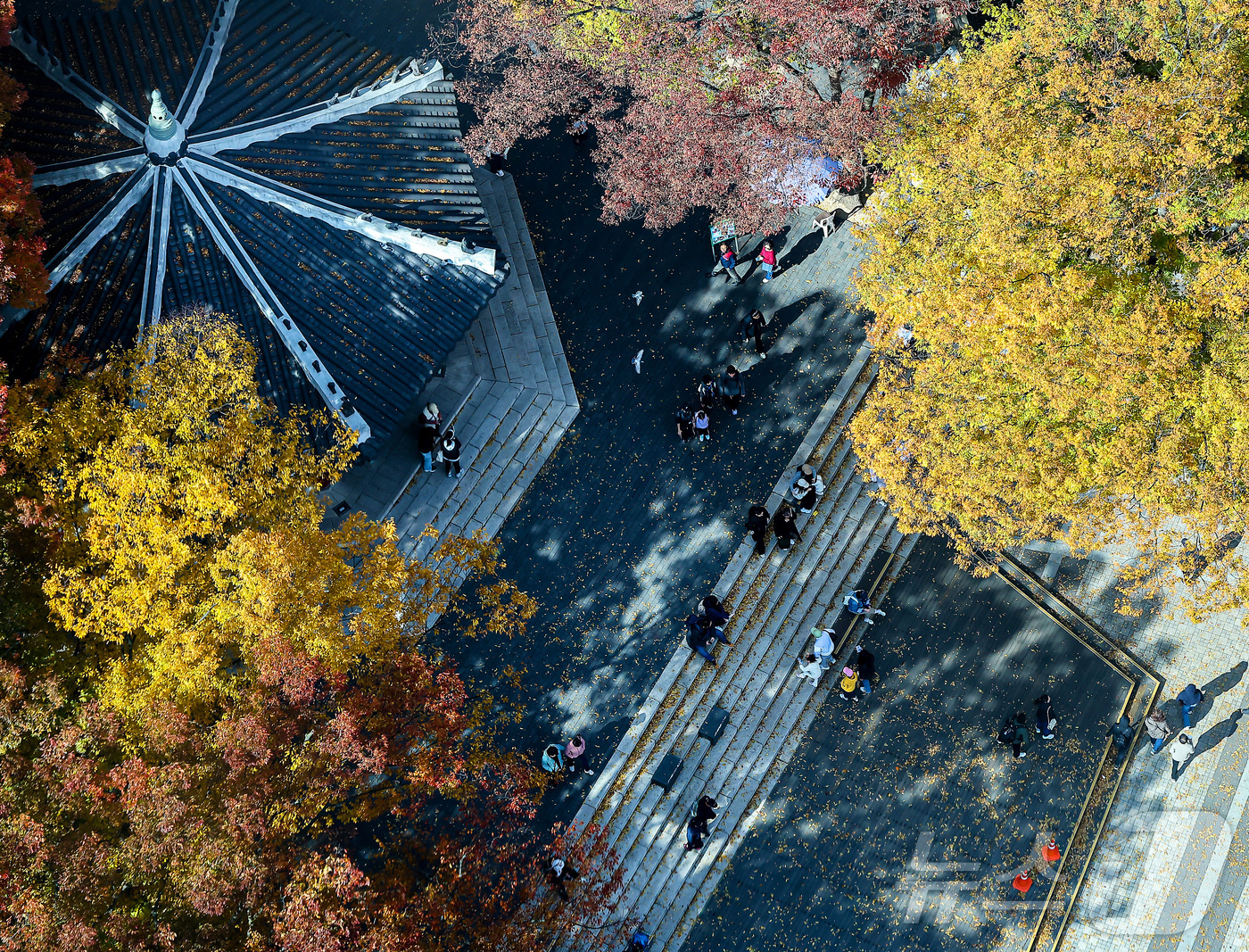 (서울=뉴스1) 김진환 기자 = 기온이 뚝 떨어진 2일 오후 서울 중구 N서울타워에서 바라본 남산에 단풍이 물들어 있다. 2025.11.2/뉴스1