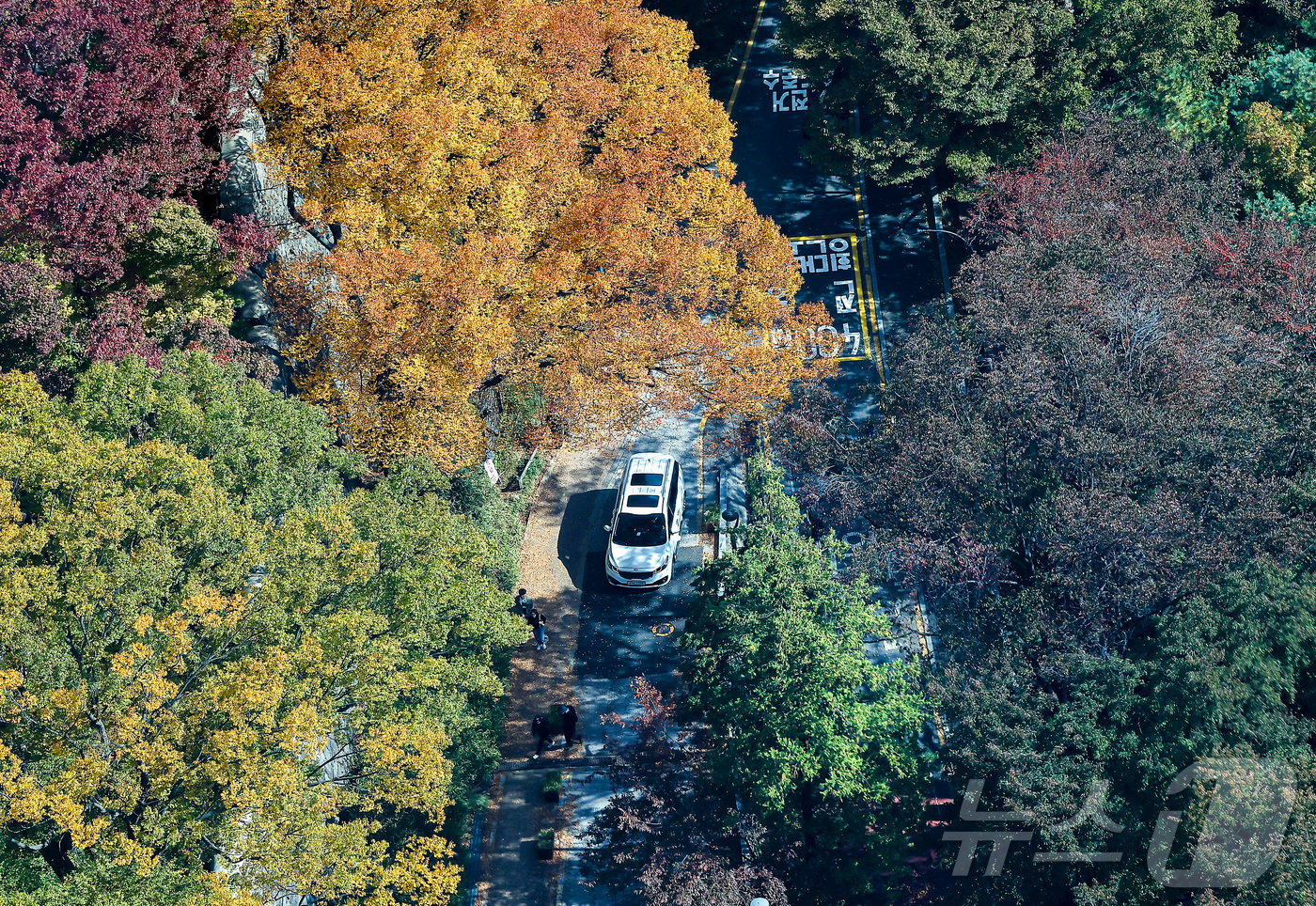 (서울=뉴스1) 김진환 기자 = 기온이 뚝 떨어진 2일 오후 서울 중구 N서울타워에서 바라본 남산에 단풍이 물들어 있다. 2025.11.2/뉴스1