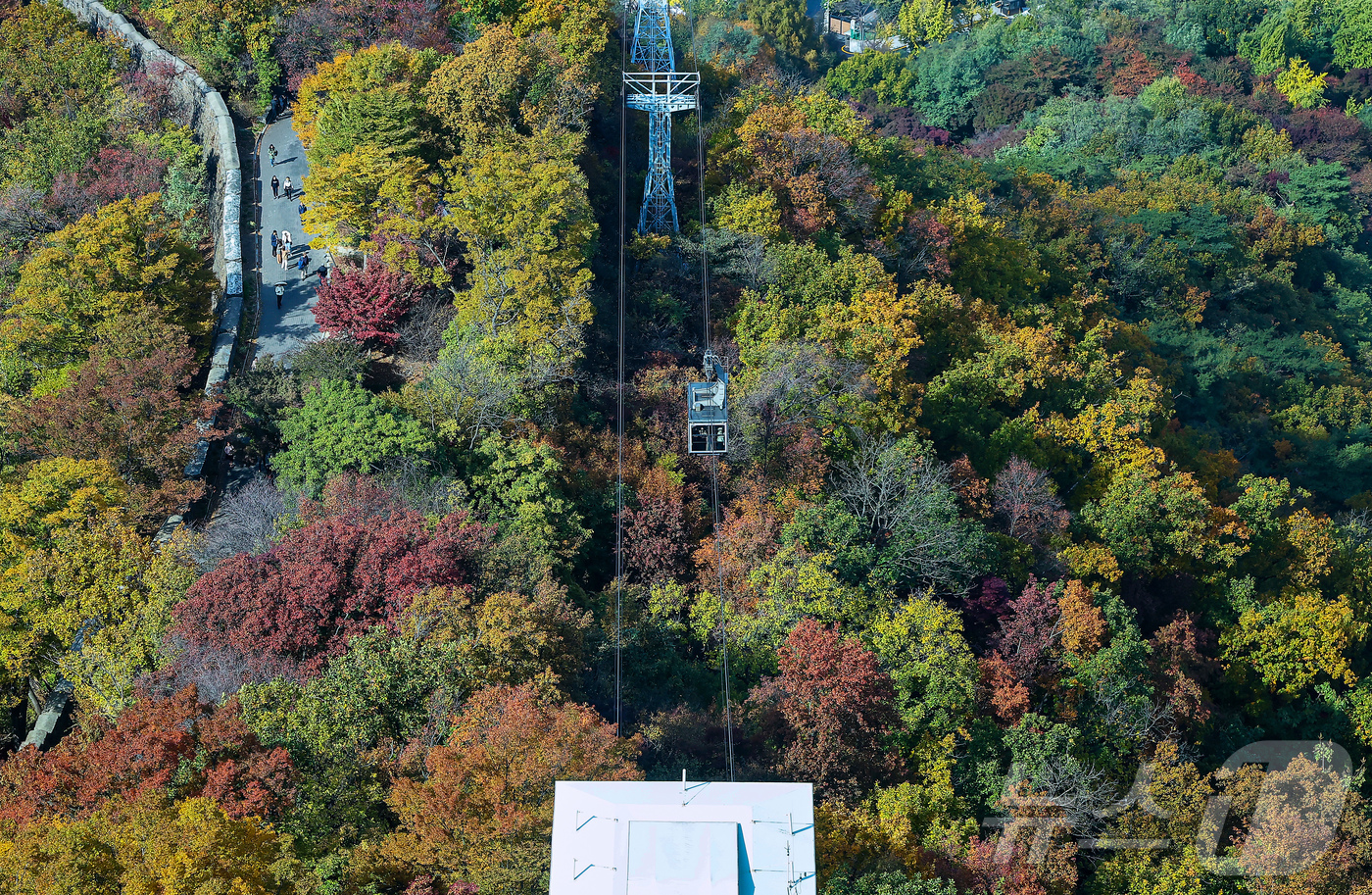 (서울=뉴스1) 김진환 기자 = 기온이 뚝 떨어진 2일 오후 서울 중구 N서울타워에서 바라본 남산에 단풍이 물들어 있다. 2025.11.2/뉴스1