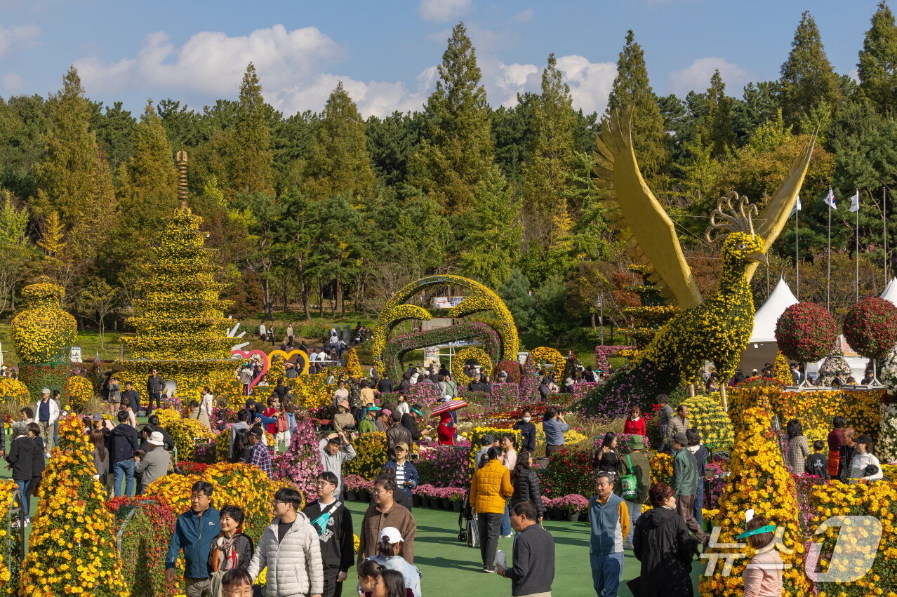 본문 이미지 - &#39;제22회 익산 천만송이 국화축제&#39;가 76만명의 누적 관람객을 기록하며 열흘간의 축제 대장정을 마무리했다.&#40;익산시 제공. 재판매 및 DB 금지&#41;