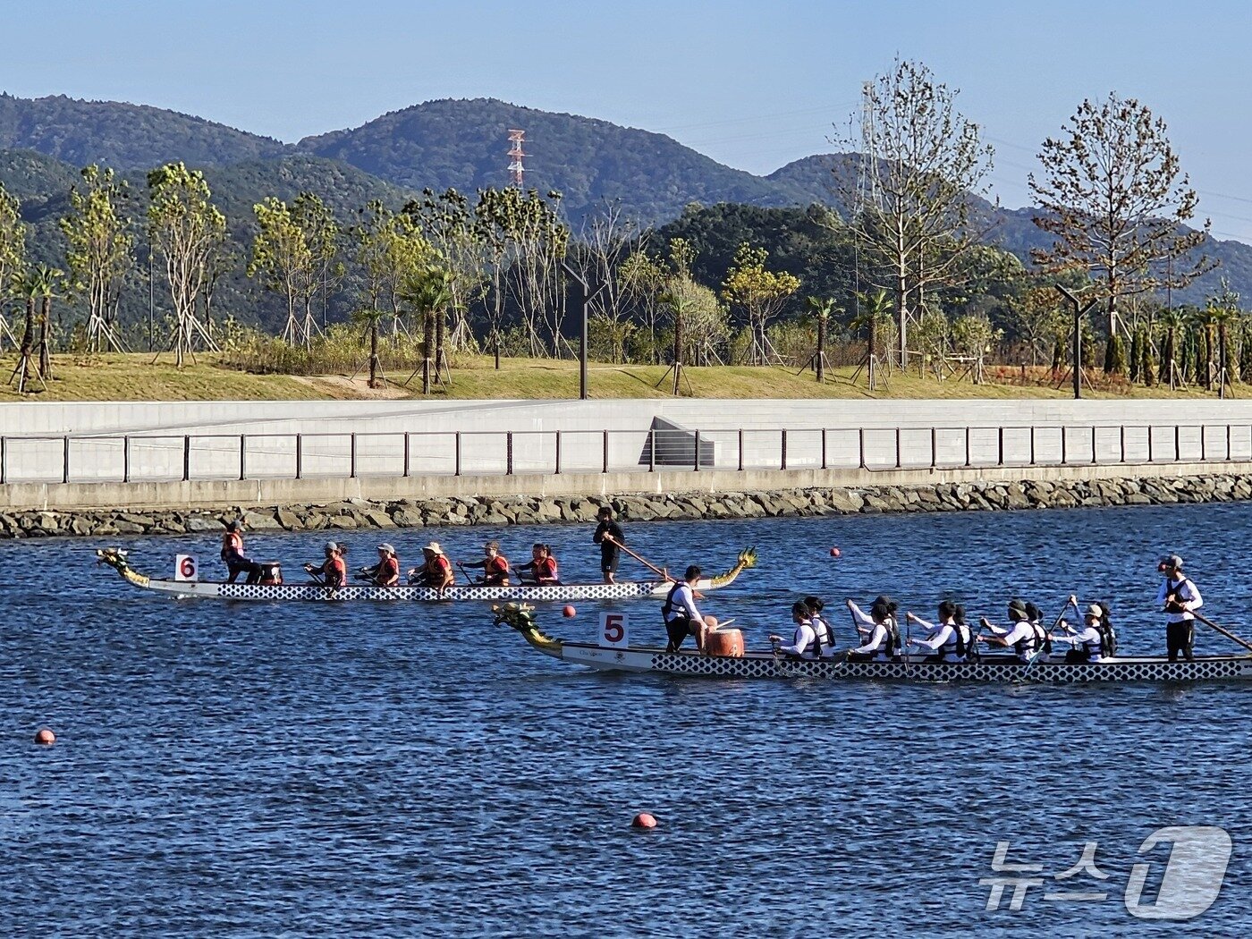 본문 이미지 - 마산 가고파 국화축제가 열린 2일 마산 앞바다에서 드래곤 보트 대회가 열리고 있다. 2025.11.2 ⓒ 뉴스1 박민석 기자