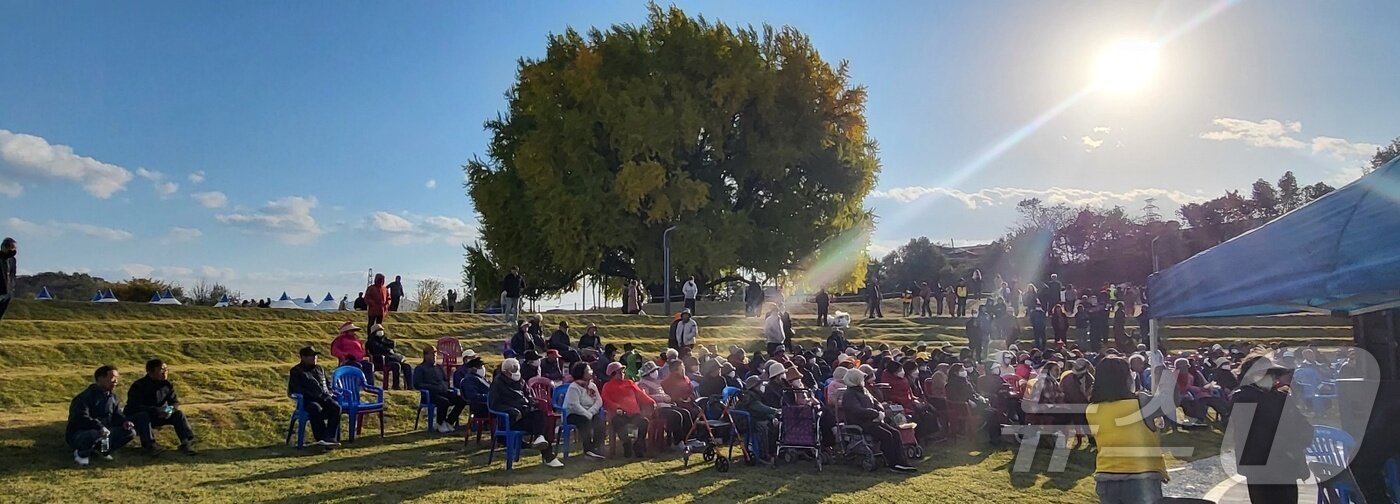 본문 이미지 - 2일 강원도 원주시 문막읍 반계리 은행나무광장에서 열린 &#39;2025 반계리 은행나무 축제&#39;를 찾은 관광객 등이 노랗게 물들어 가고 있는 은행나무를 구경하고 있다. 국내 최고 수령&#40;1318년 추정&#41;인 반계리 은행나무는 천연기념물 제167호로, 높이 32m·둘레 16.27m 규모를 자랑한다. 올해 반계리 은행나무의 단풍은 평년보다는 절정 시기가 늦은 편이지만, 이날 축제는 예년에 버금가는 수준의 인파가 몰리면서 성황을 이루고 있다. 2025.11.2뉴스1 ⓒ News1 신관호 기자