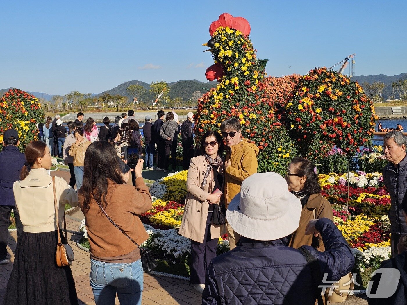 본문 이미지 - 2일 마산 가고파 국화축제를 찾은 나들이객이 국화를 배경으로 기념사진을 찍고 있다. 2025.11.2 ⓒ 뉴스1 박민석 기자