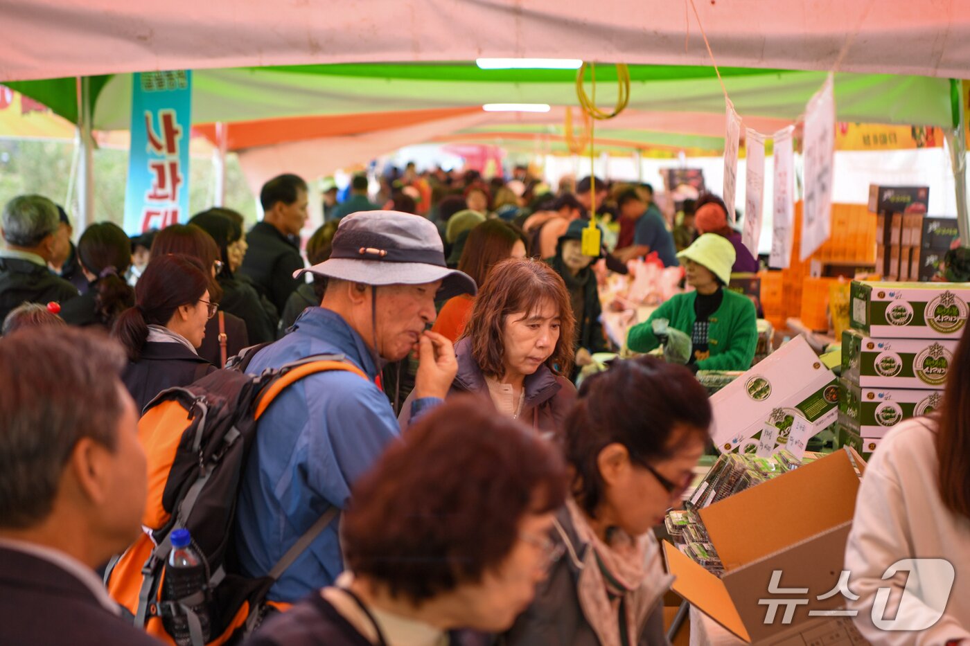 본문 이미지 - 양구 시래기 사과축제&#40;양구군 제공. 재판매 및 DB금지&#41;/뉴스1