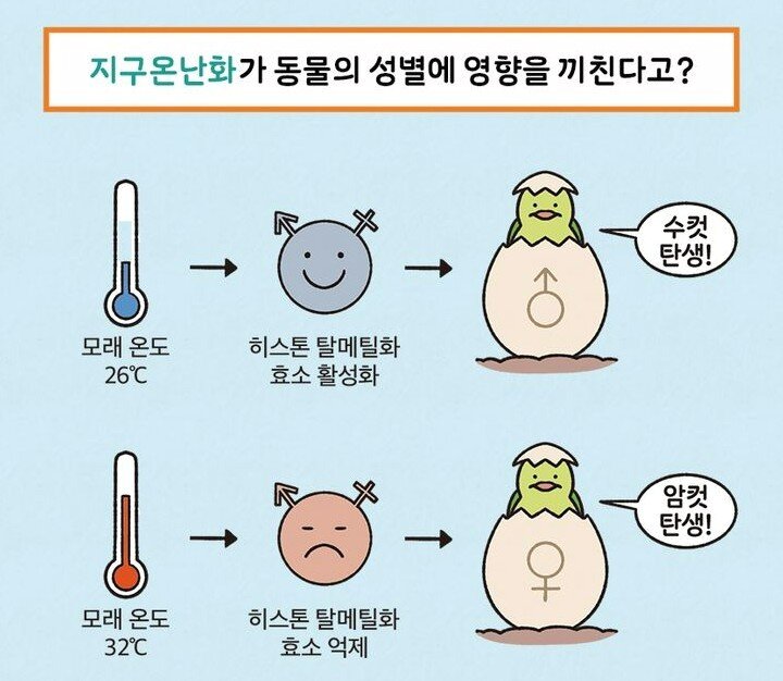 본문 이미지 - 이상한 과학책 (빅피시 제공)