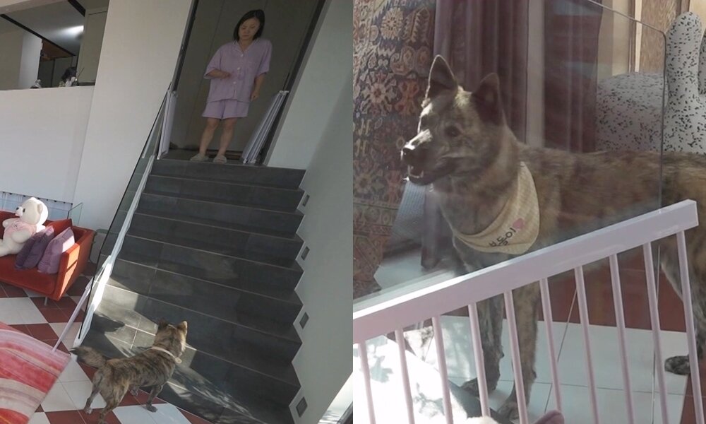 본문 이미지 - MBC