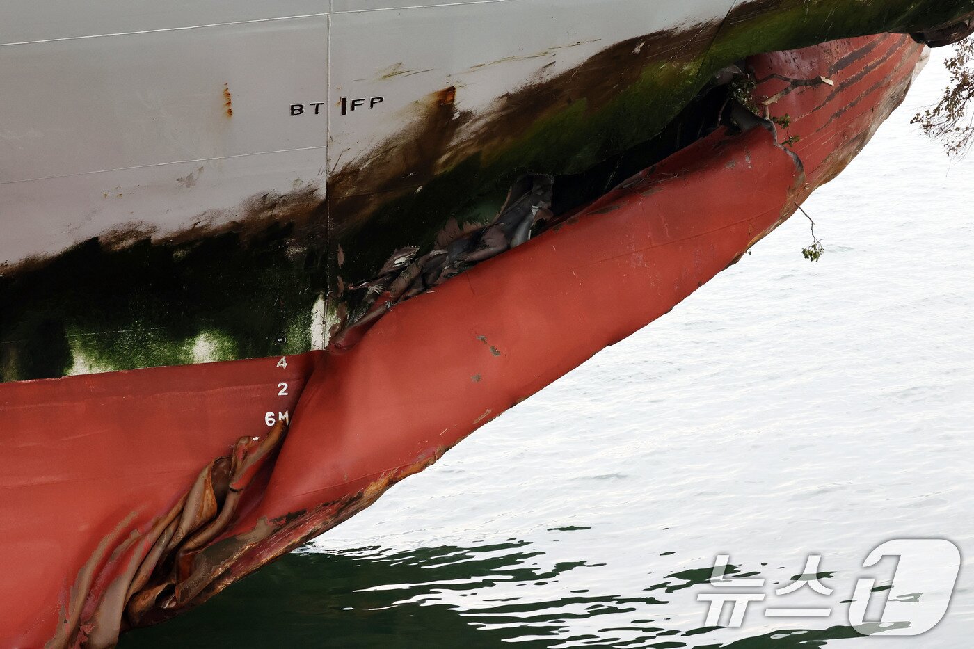 본문 이미지 - 전남 신안 해상에서 좌초된 여객선 퀸제누비아2호가 20일 전남 목포시 산정동 삼학부두에 정박해 있다. 사진은 사고 부위의 모습. 2025.11.20/뉴스1 ⓒ News1 박지현 기자