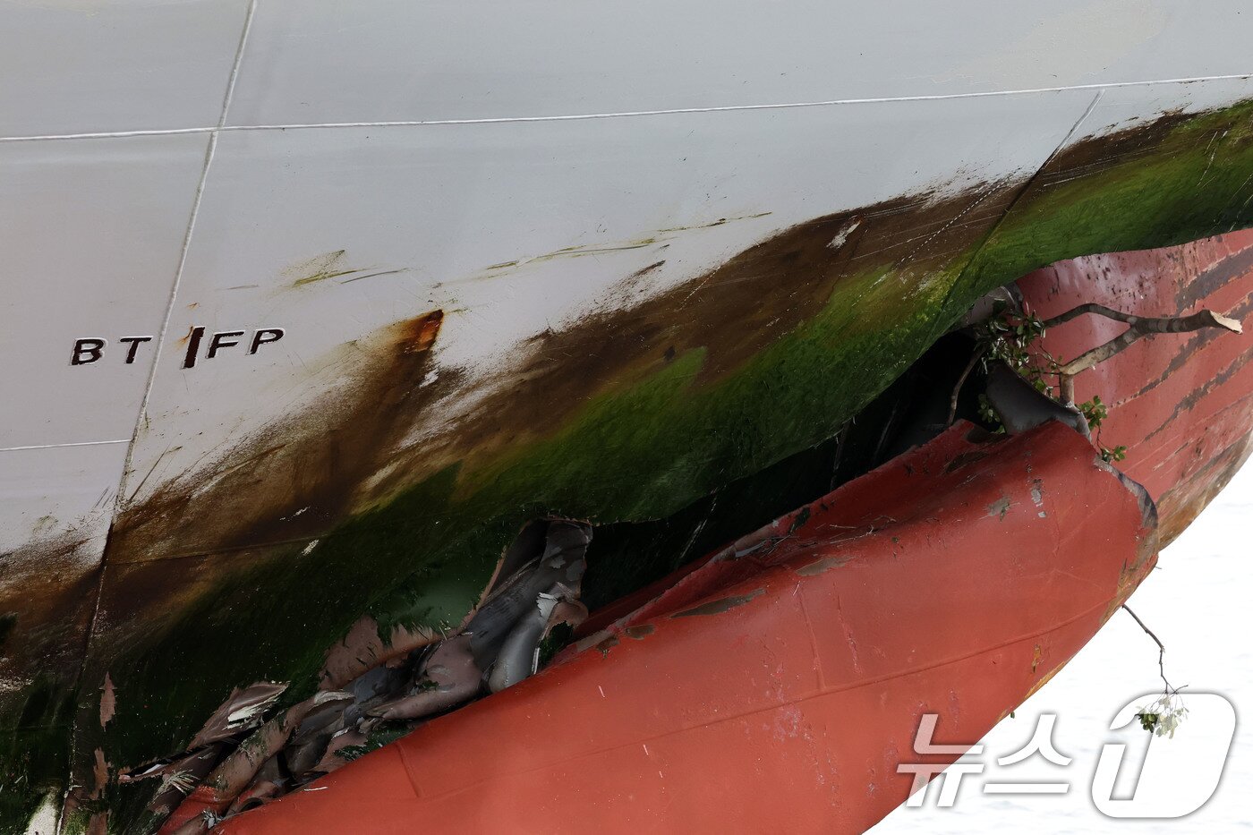 본문 이미지 - 전남 신안 해상에서 좌초된 여객선 퀸제누비아2호가 20일 전남 목포시 산정동 삼학부두에 정박해 있다. 사진은 사고 부위의 모습. 2025.11.20/뉴스1 ⓒ News1 박지현 기자