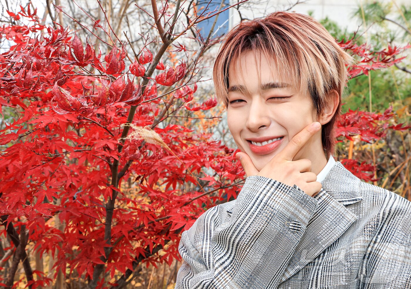 본문 이미지 - JYP엔터테인먼트 소속 7인조 보이그룹 넥스지&#40;NEXZ&#41;의 리더 토모야 / 뉴스1 ⓒ News1 김진환 기자