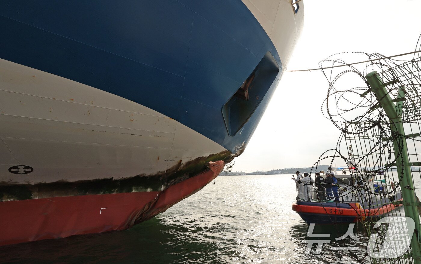 본문 이미지 - 전남 신안 해상 발생한 퀸제누비아2호 좌초 사고와 관련해 20일 목포 산정동 삼학부두에서 한국선급, 국립과학수사연구원, 전남청 과학수사대, 목포해경 등이 합동으로 선체합동감식을 진행하고 있다. 2025.11.20/뉴스1 ⓒ News1 박지현 기자