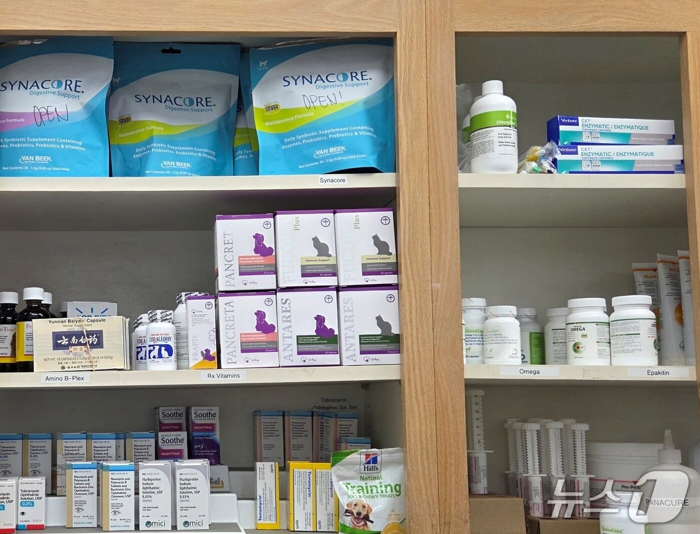 본문 이미지 - 미국 로스앤젤레스의 한 동물병원에 비치된 닥터레이 제품 ⓒ 뉴스1