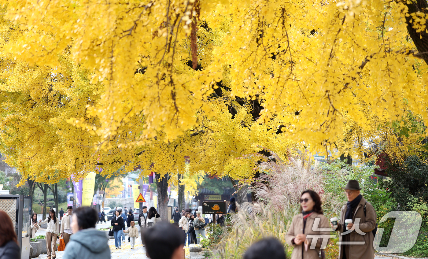 (전주=뉴스1) 유경석 기자 = 20일 전북 전주시 한옥마을을 찾은 시민들과 관광객들이 노랗게 물든 은행나무를 보며 늦가을 정취를 만끽하고 있다. 2025.11.20/뉴스1