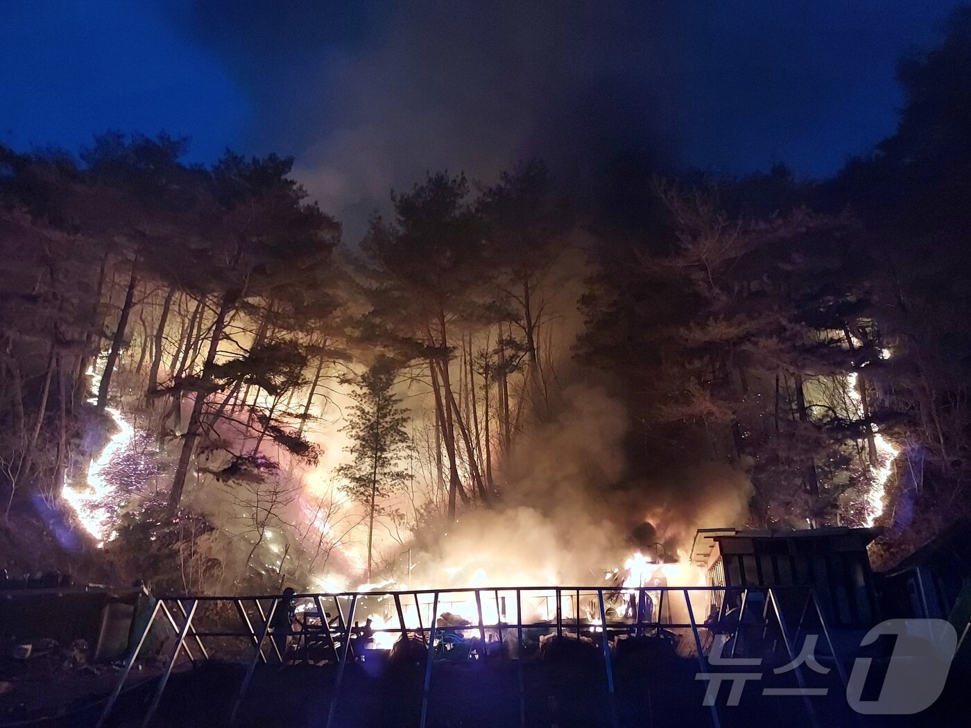 본문 이미지 - 20일 오후 강원 인제 기린면 현리 인근 야산에서 산불이 발생해 산림·소방 당국 등이 진화 작업을 하고 있다. &#40;산림청 제공. 재판매 및 DB 금지&#41; 2025.11.20/뉴스1