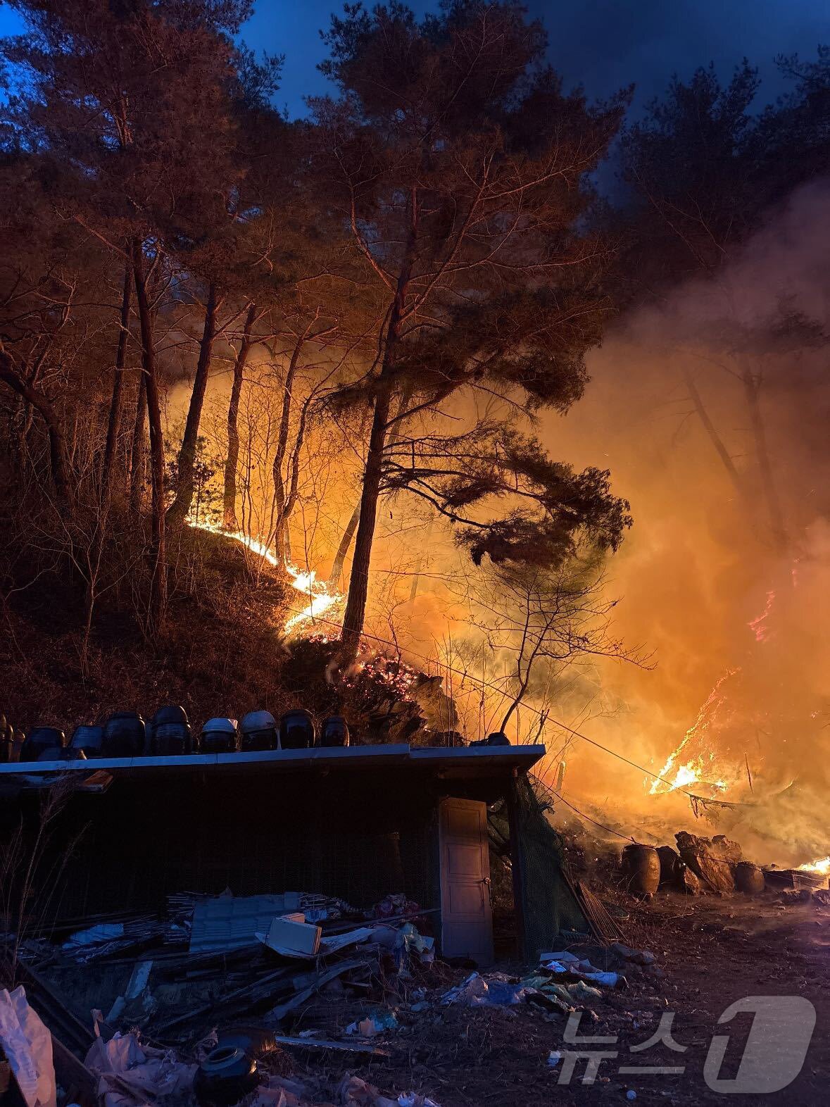 본문 이미지 - 20일 오후 강원 인제 기린면 현리 인근 야산에서 산불이 발생해 산림·소방 당국 등이 진화 작업을 하고 있다. &#40;산림청 제공. 재판매 및 DB 금지&#41; 2025.11.20/뉴스1