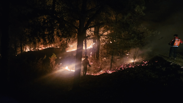 본문 이미지 - 인제 기린면 산불 진화현장.(산림청 제공. 재판매 및 DB금지)/뉴스1