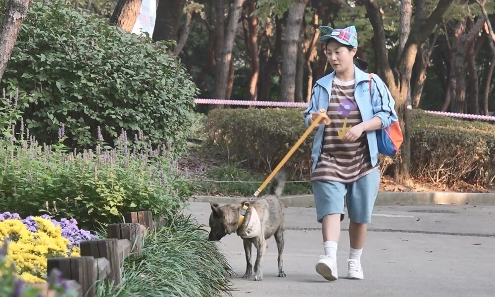 본문 이미지 - MBC