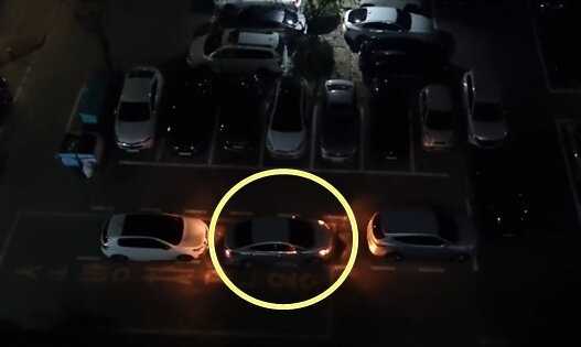 본문 이미지 - (보배드림 갈무리)