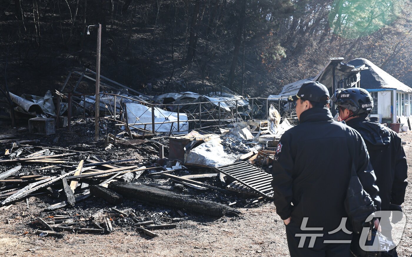 본문 이미지 - 21일 오전 강원 인제 기린면 현리 산불 현장에서 소방, 경찰 관계자들이 화재 원인을 조사하기 위해 최초 발화 추정 지점를 살펴보고 있다. 2025.11.21/뉴스1 ⓒ News1 김도우 기자