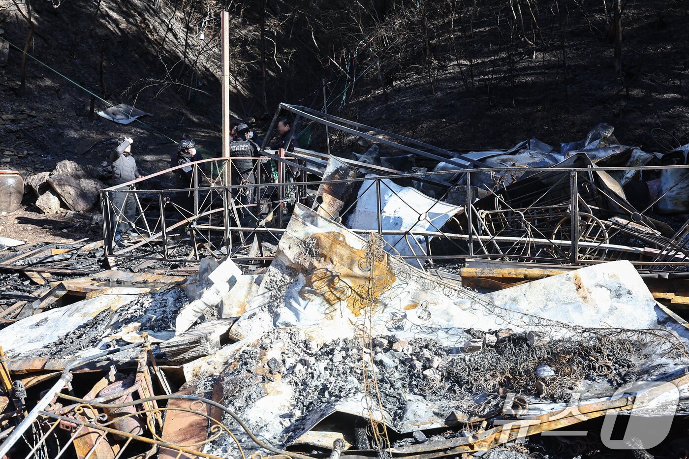 본문 이미지 - 21일 오전 강원 인제 기린면 현리 산불 현장에서 소방, 경찰 관계자들이 화재 원인을 조사하기 위해 최초 발화 추정 지점를 살펴보고 있다. 2025.11.21/뉴스1 ⓒ News1 김도우 기자