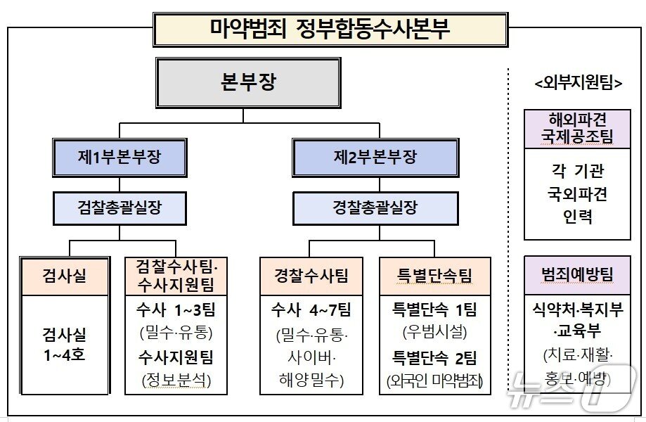 본문 이미지 - 마약범죄 합동수사본부 조직도.(대검찰청 제공)