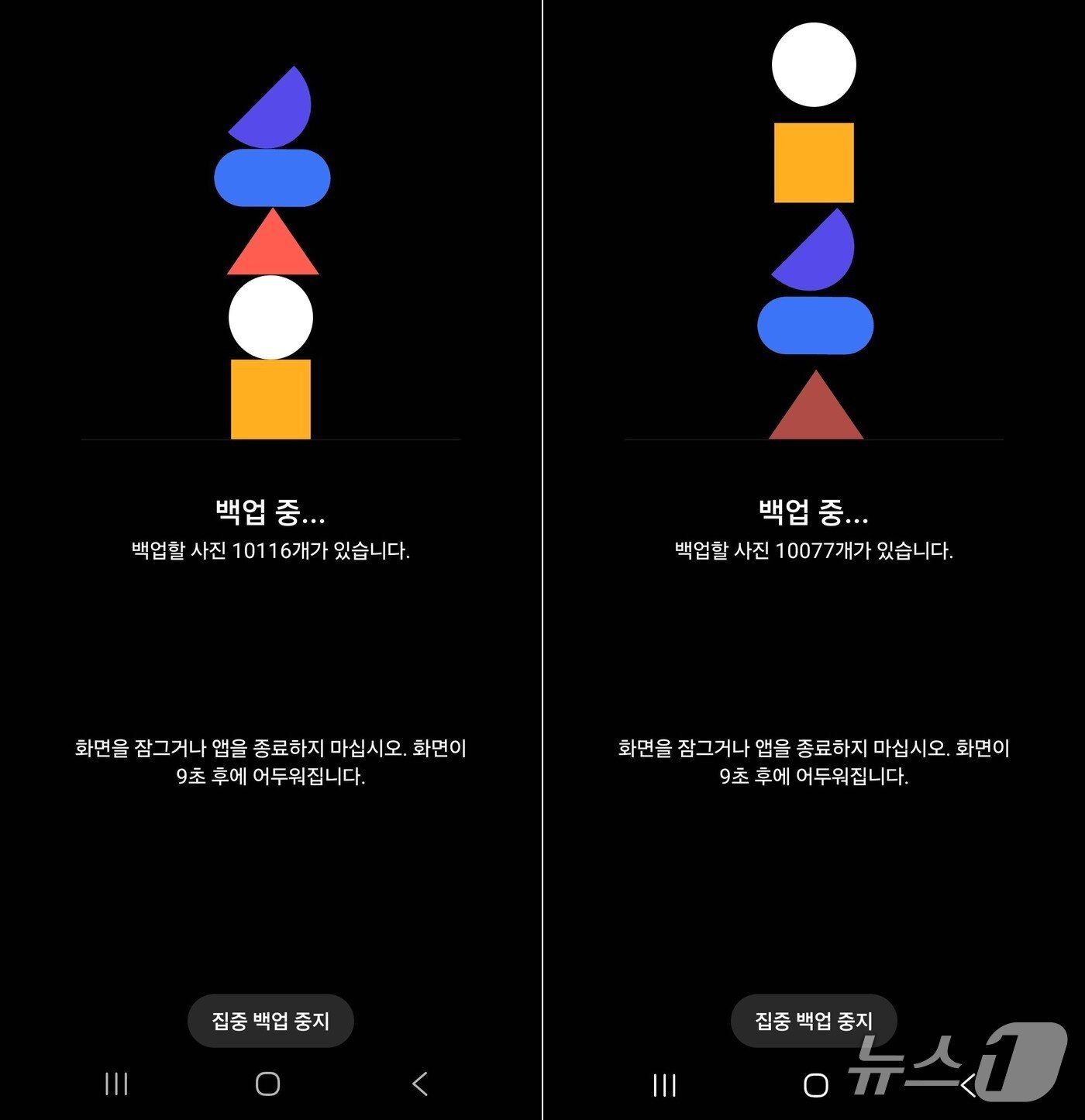 본문 이미지 - DS1825+ 시놀로지 포토 집중 백업 진행. 2025.11.21 뉴스1 ⓒ News1 김민석 기자