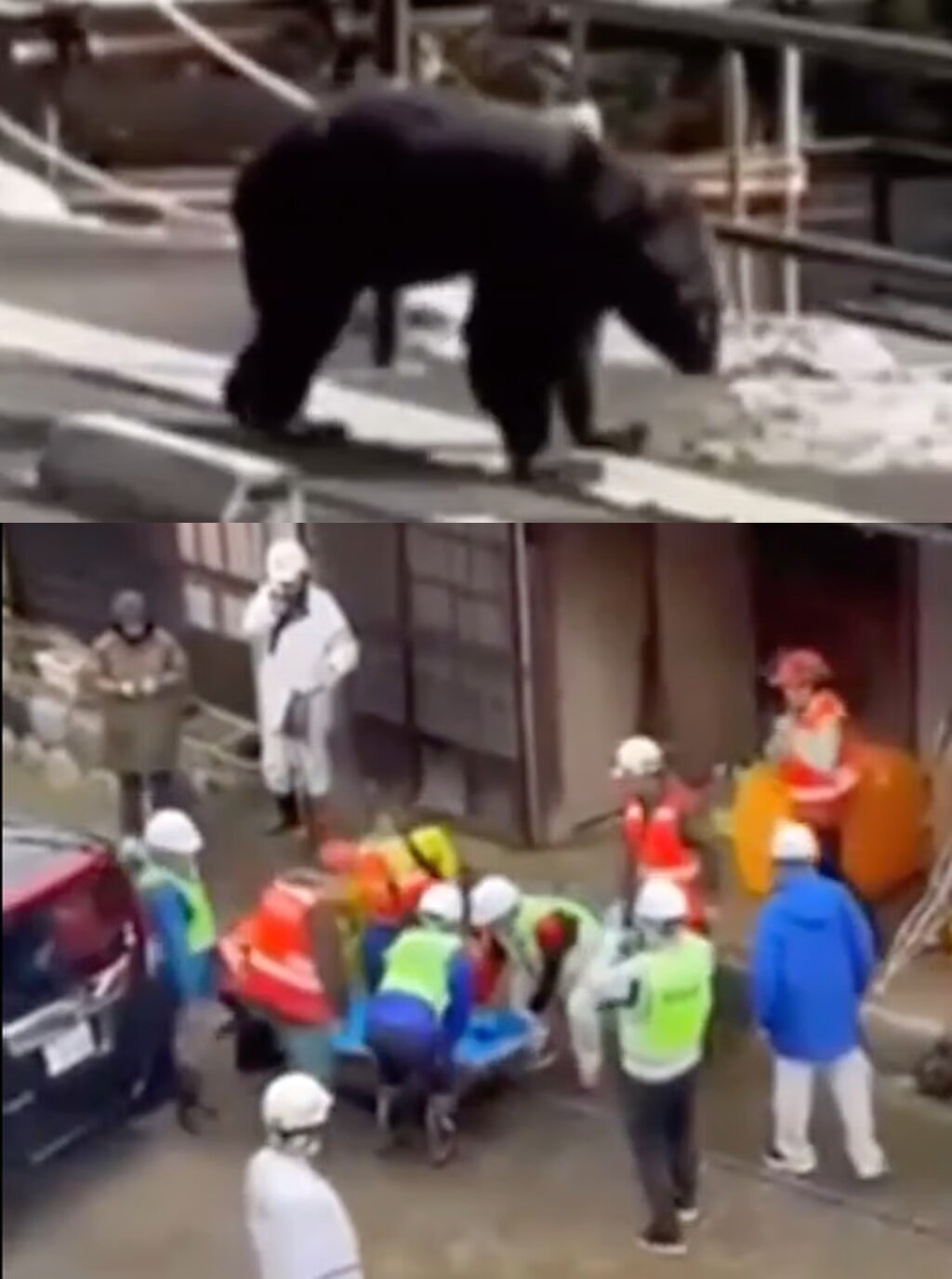 본문 이미지 - &#40;SCMP 갈무리&#41;