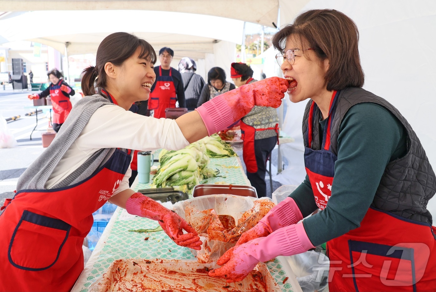 (임실=뉴스1) = 21일 전북 임실군 임실치즈테마크에서 열린 '2025 임실 아삭아삭 김장 페스티벌'에서 김장을 하기 위한 체험객들이 맛있게 배추와 양념을 버무리고 있다.21일부 …