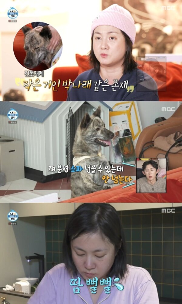 본문 이미지 - MBC '나 혼자 산다'