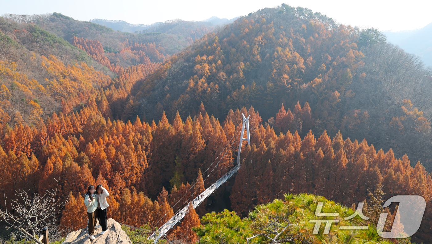(대전=뉴스1) 김기태 기자 = 22일 오후 대전 서구 장태산자연휴양림을 찾은 나들이객들이 깊어가는 가을의 정취를 즐기고 있다. 2025.11.22/뉴스1