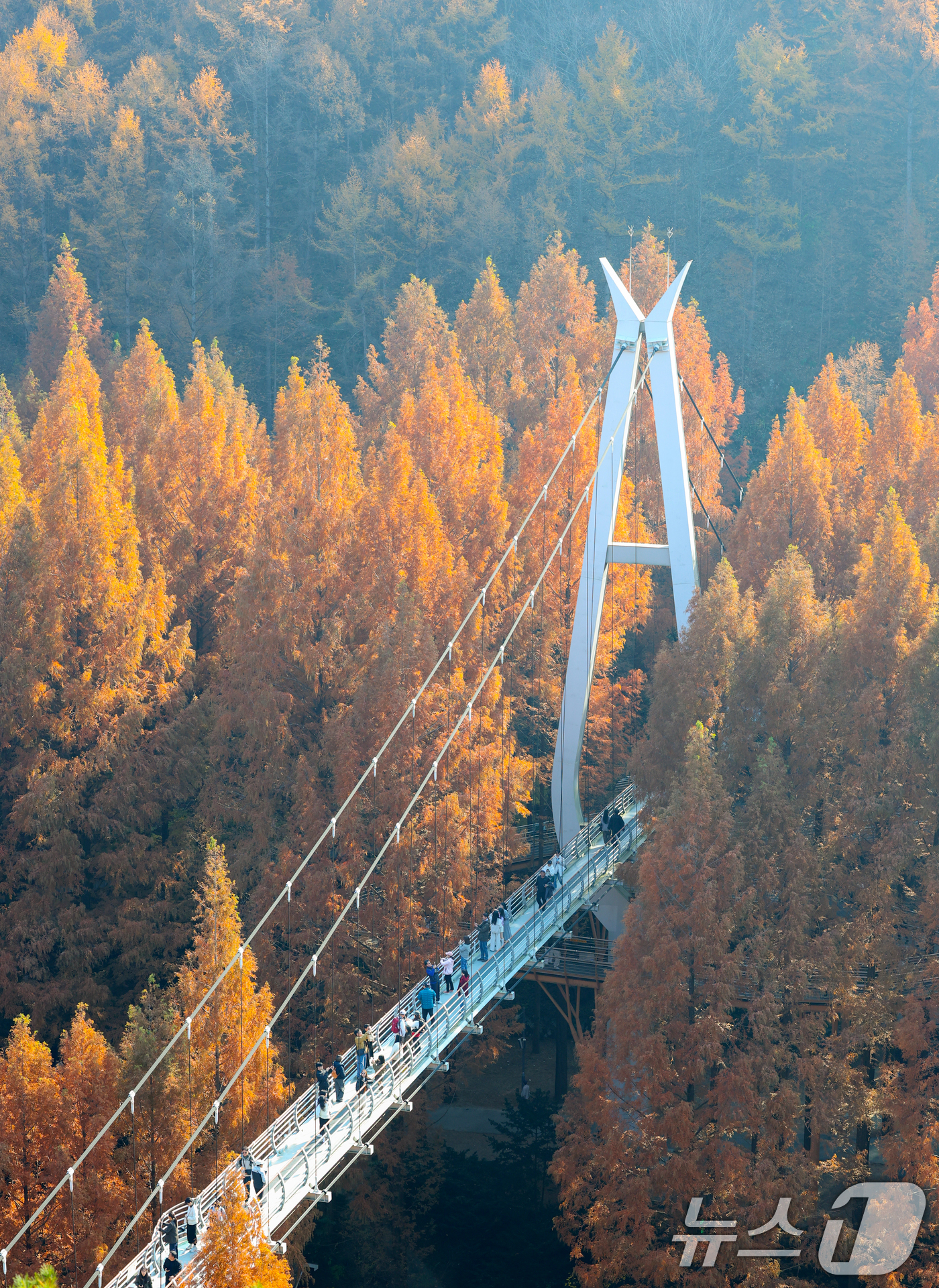 (대전=뉴스1) 김기태 기자 = 22일 오후 대전 서구 장태산자연휴양림을 찾은 나들이객들이 깊어가는 가을의 정취를 즐기고 있다. 2025.11.22/뉴스1