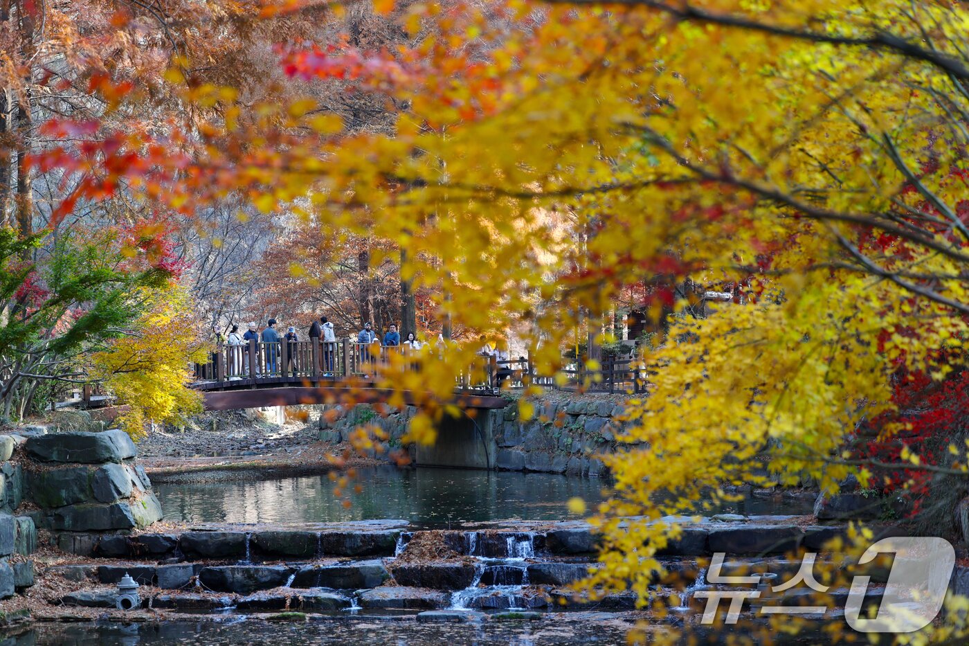 본문 이미지 - 22일 오후 대전 서구 장태산자연휴양림을 찾은 나들이객들이 깊어가는 가을의 정취를 즐기고 있다. 2025.11.22/뉴스1 ⓒ News1 김기태 기자