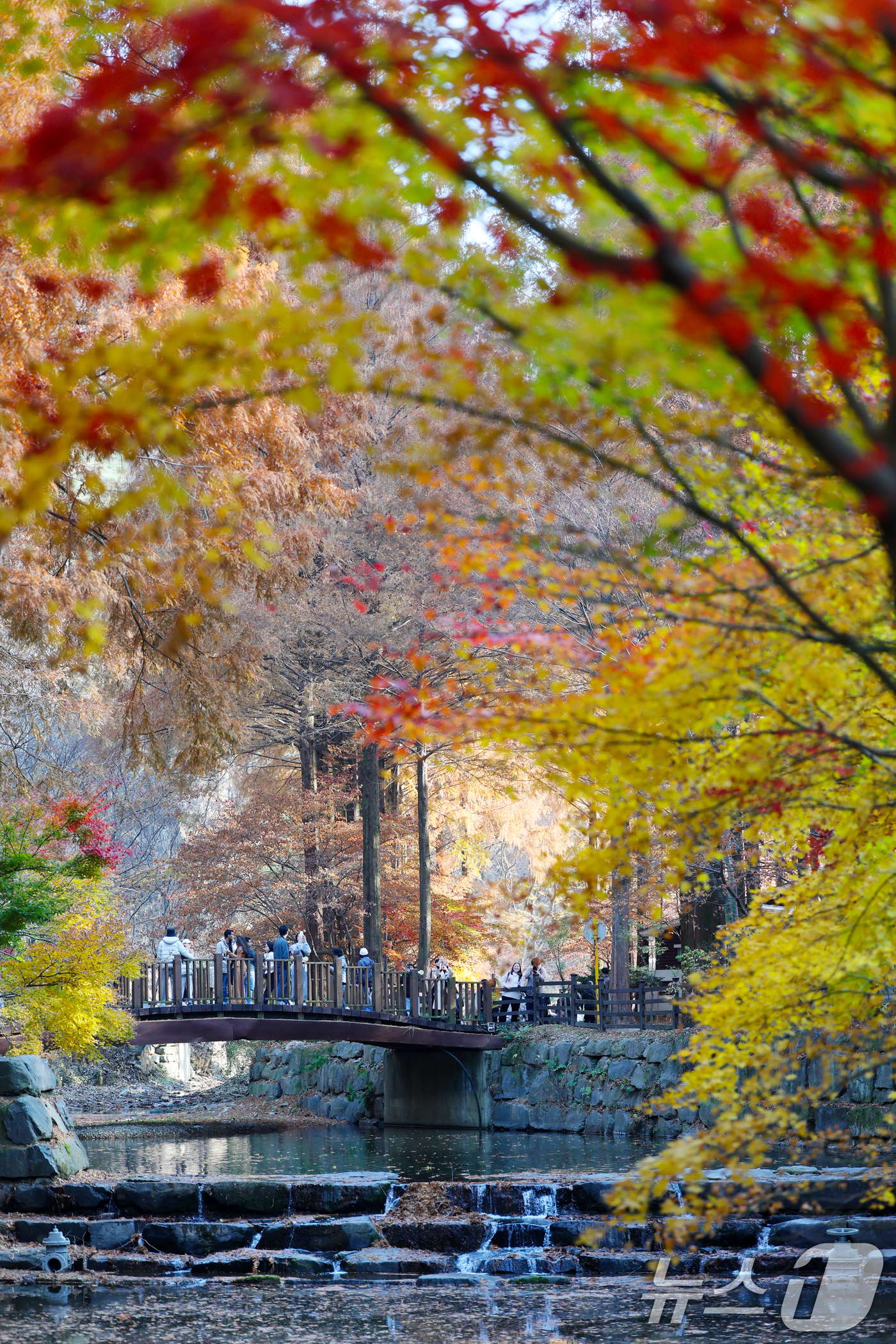 (대전=뉴스1) 김기태 기자 = 22일 오후 대전 서구 장태산자연휴양림을 찾은 나들이객들이 깊어가는 가을의 정취를 즐기고 있다. 2025.11.22/뉴스1