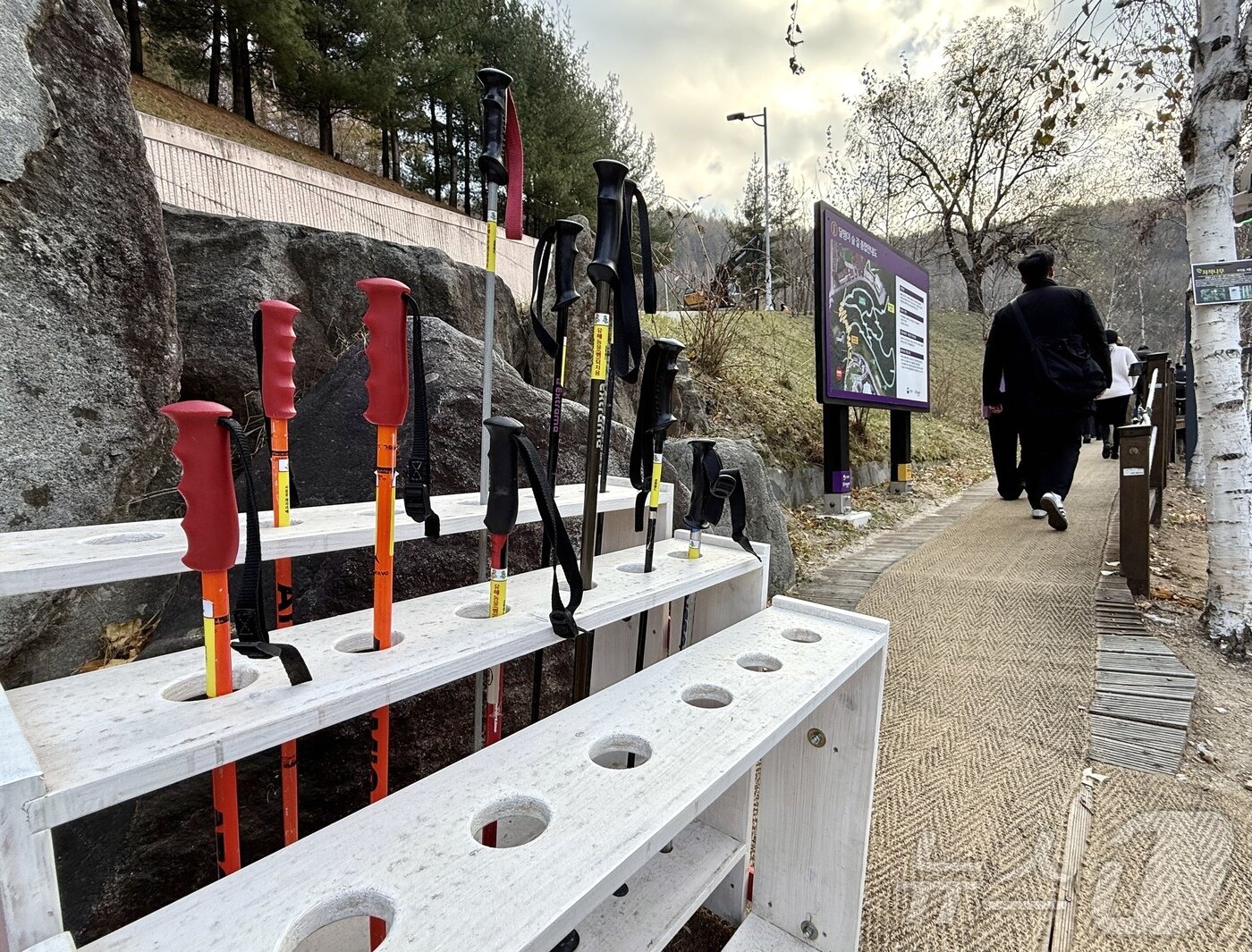 본문 이미지 - 숲길을 보다 쉽게 오르려면 달팽이 숲길 초입에 비치된 등산스틱을 이용하면 된다.ⓒ News1 윤슬빈 관광전문기자